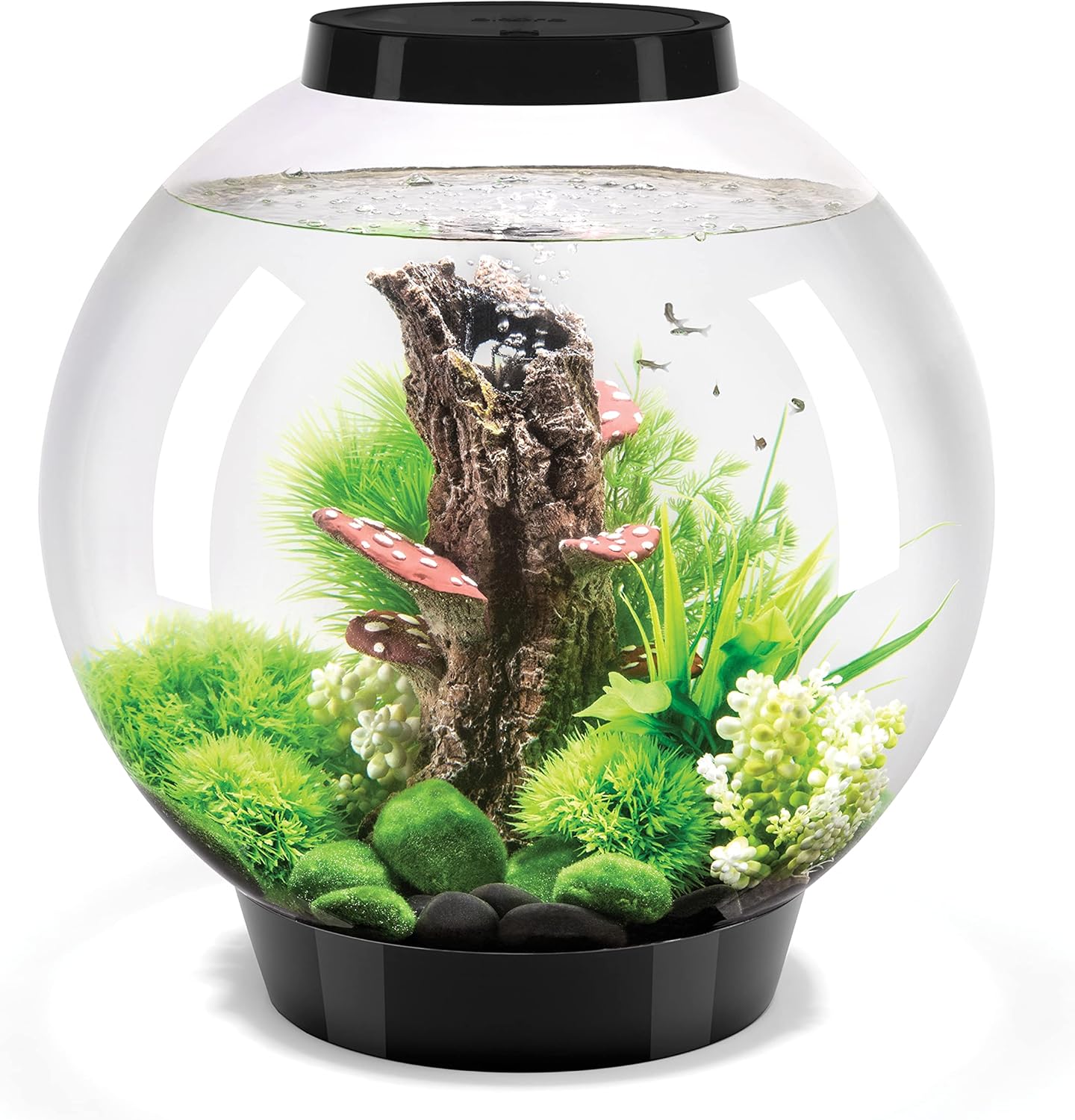 biOrb CLASSIC 30 Acrylic 8-gallon Aquarium with White LED Lights Modern Tank for Tabletop Display, Black