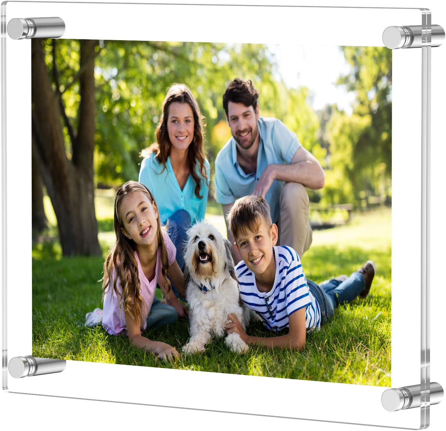 NIUBEE 8.5x11 Clear Acrylic Wall Mount Floating Picture Frame A4 Letter Size Photo for Document Certificate Sign Display -Double Panel (Full Frame is 9.4x13.4 inch)