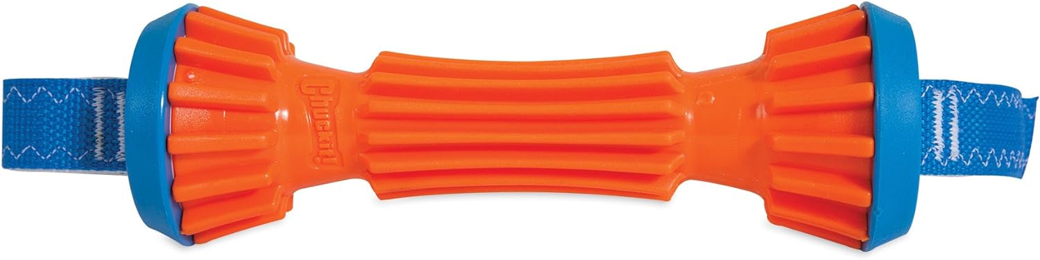 ChuckIt! Rugged Bumper Dog Toy, Small