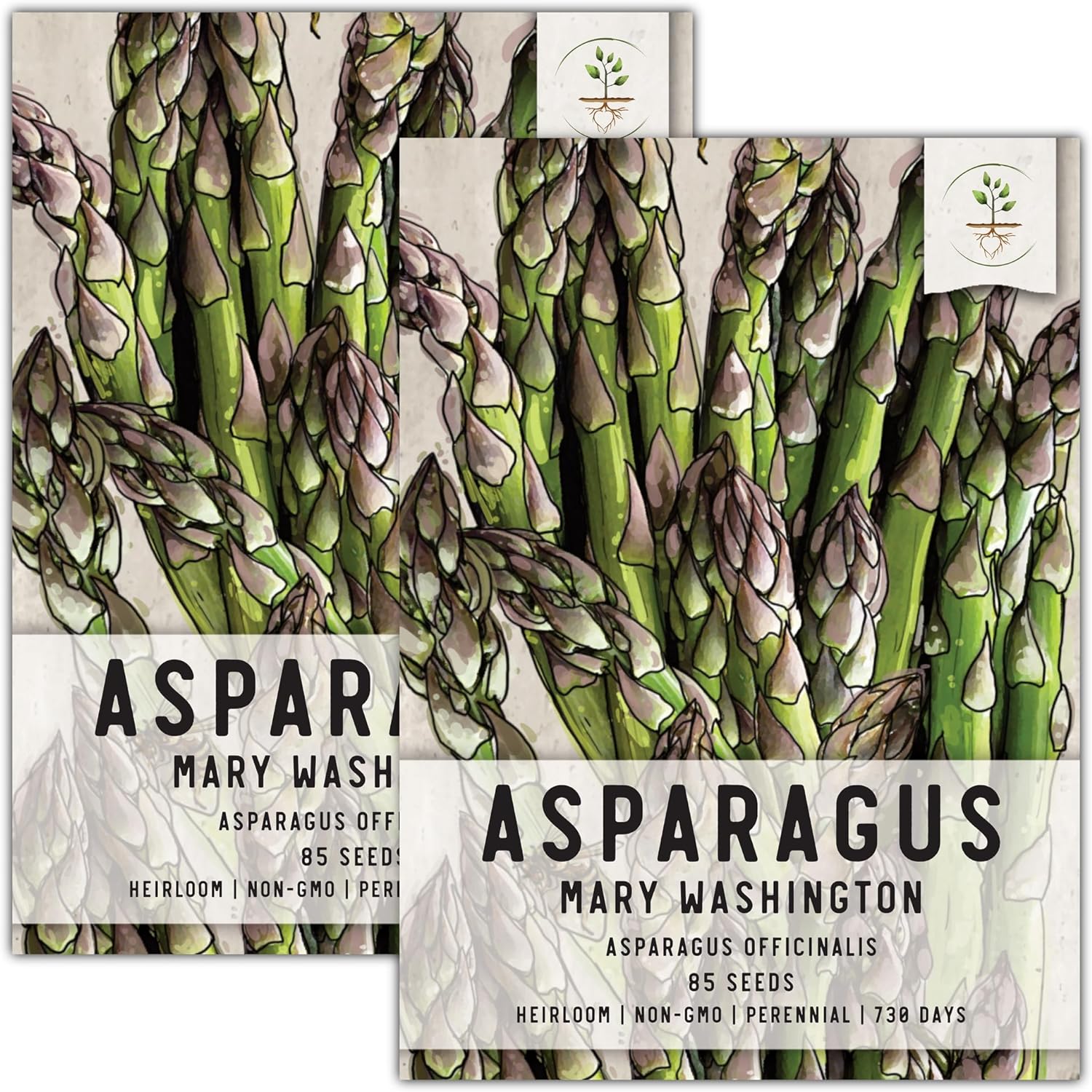 Seed Needs, Mary Washington Asparagus Seeds - 85 Heirloom Seeds for Planting Asparagus officinalis - Perennial Crops for an Outdoor Garden, Non-GMO & Untreated (2 Packs)