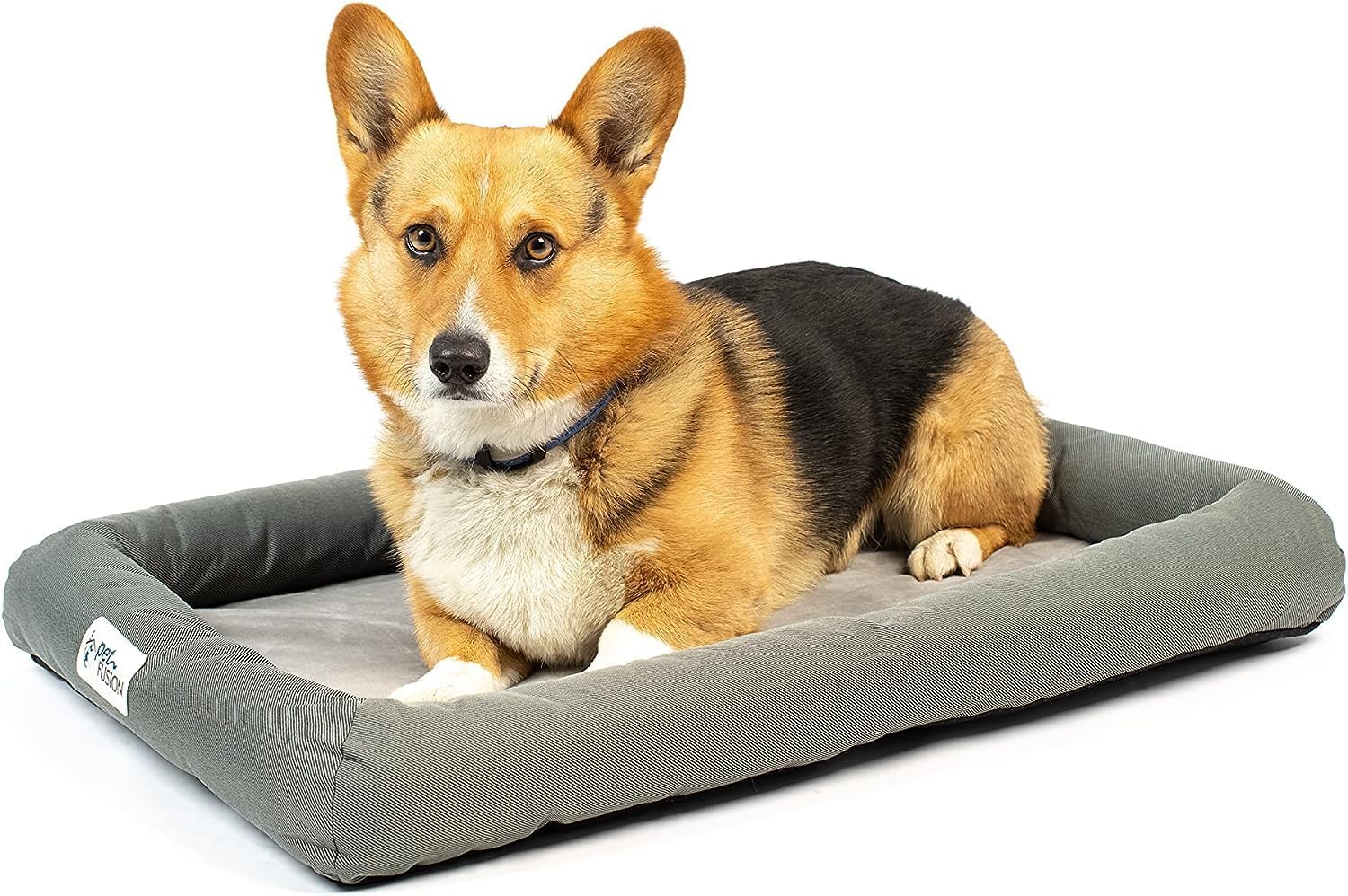 PetFusion Lavender-Infused Dog Bed w/Cooling | Solid Certi-PUR-US Orthopedic Memory Foam | Anti-Anxiety Crate Mat Calming & Soothing | All-Season Temperature Control Cooling Mat | 1 Year Warr.