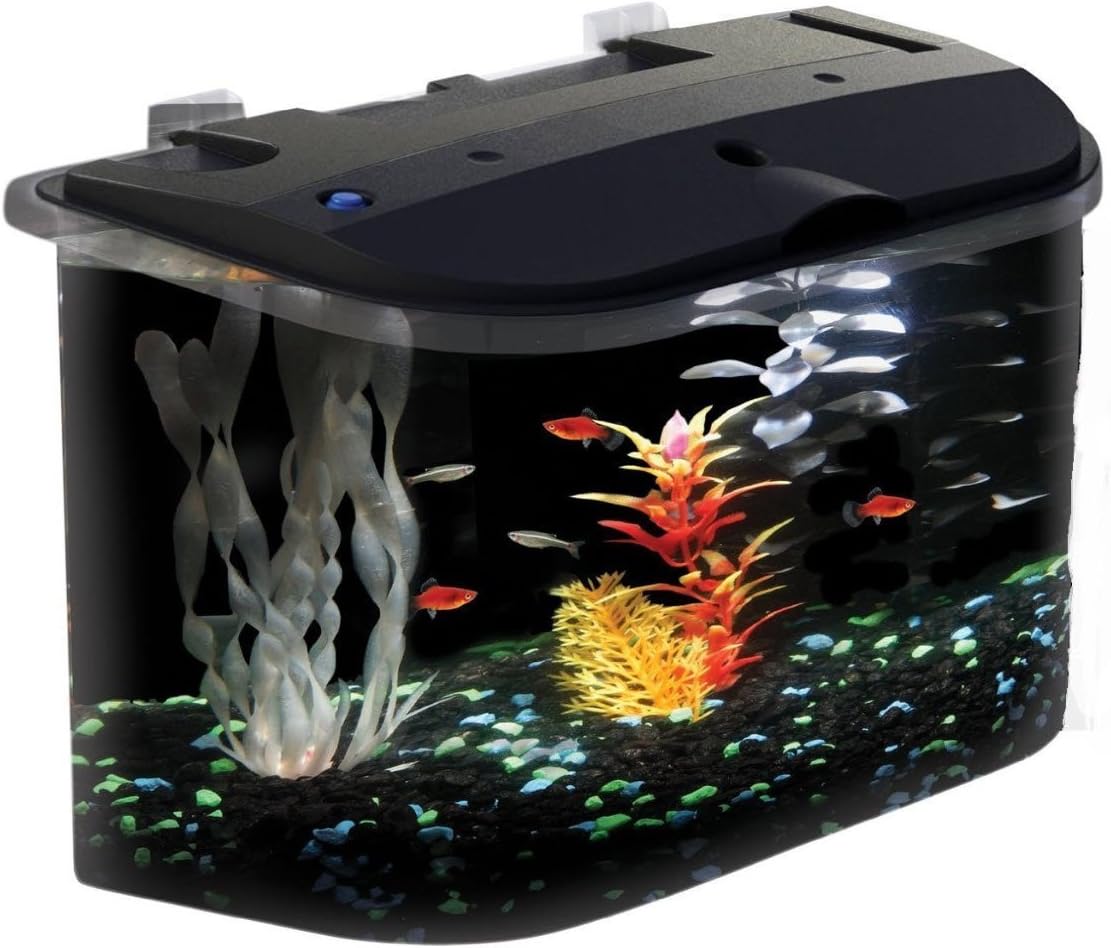 Koller Products 5-Gallon Aquarium Kit with LED Lighting and Power Filter, Ideal for a Variety of Tropical Fish