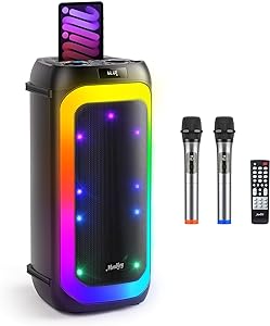 Great all in one karaoke! Comes with two microphones. The mics works great and clear. Family loves it!