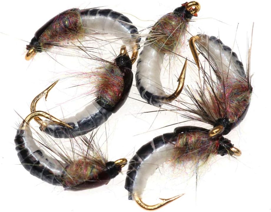 Super Sturdy Realistic Nymph Scud Flies, Popper Flies for Trout Nymph Beadhead Fishing Wet Assortment Flies Bug Worm Scud Looking