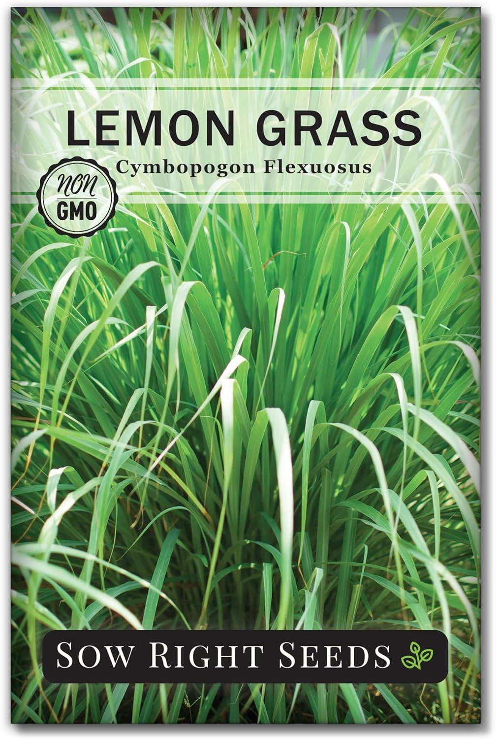 Sow Right Seeds - Lemon Grass Seed for Planting - Non-GMO Heirloom Packet with Instructions for Easy Planting and Growing an Herb Garden - Indoor or Outdoors - Delicious Culinary Herb (1)