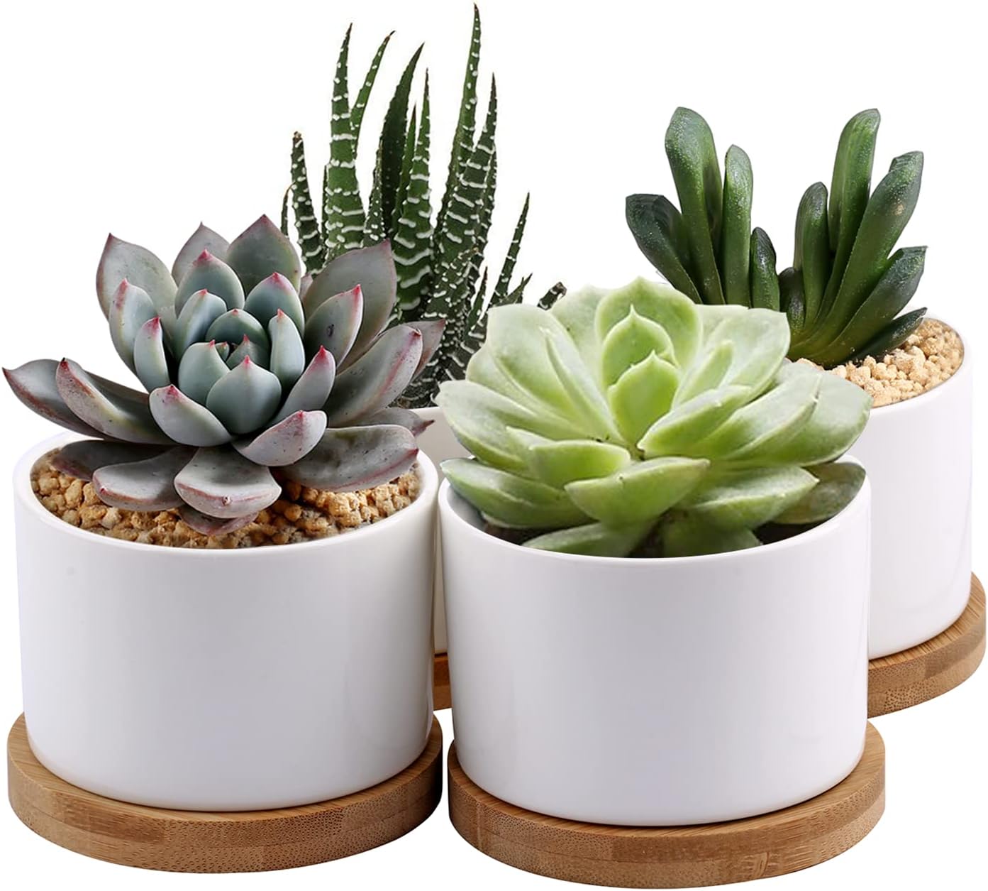 ZOUTOG Succulent Planter, White Mini 3.15 inch Ceramic Flower Planter Pot with Bamboo Tray, Pack of 4 - Plants Not Included
