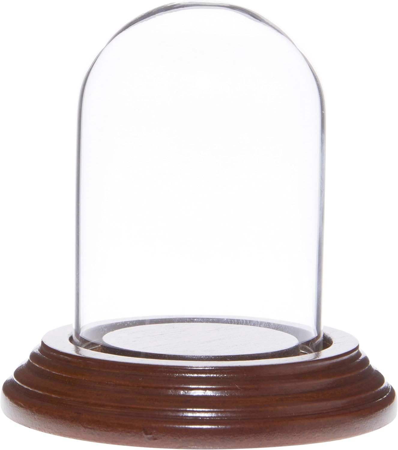 Plymor 2 x 3 Mini Glass Display Dome Cloche (Walnut Veneer Base)