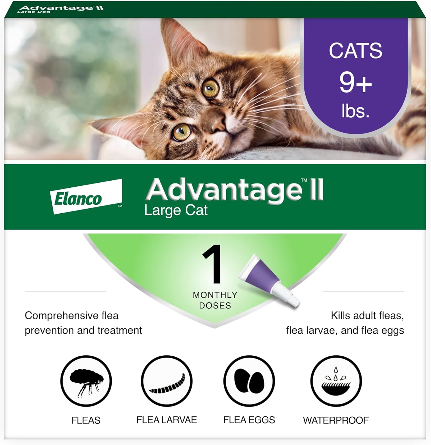 Advantage II Large Cat Vet-Recommended Flea Treatment & Prevention | Cats Over 9 lbs. | 1-Month Supply