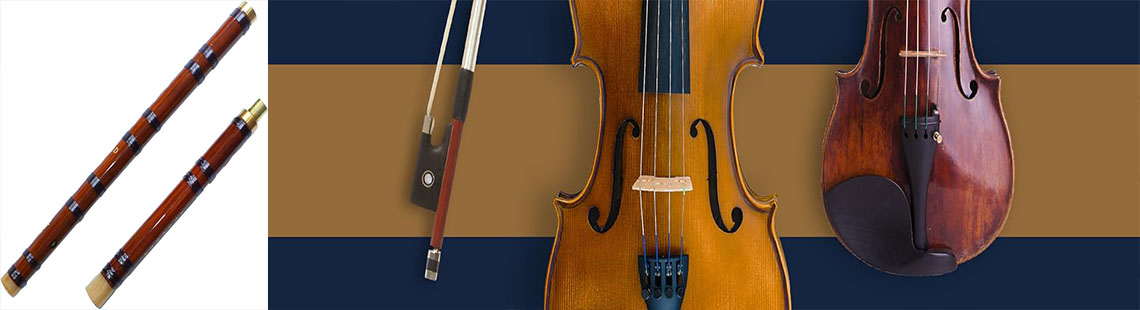 Cecilio CVN-300 Solidwood Ebony Fitted Violin with D'Addario Prelude Strings, Size 4/4 (Full Size)