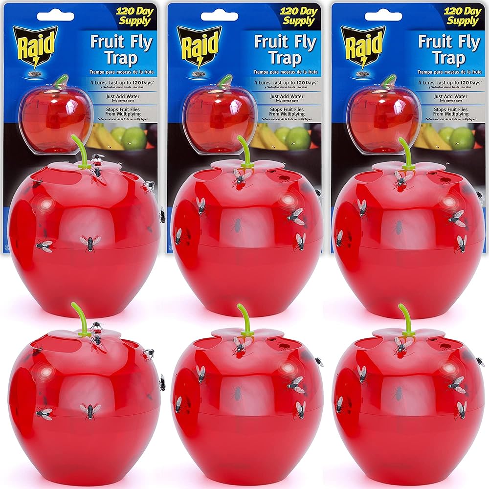 Raid Fruit Fly Trap Bundle, Set of 3 2-Pack Apple Fruit Fly Catcher Indoor Trap, 360-Day Supply of Fruit Fly Traps for Kitchen &amp; Dining Areas, Reusable Gnat Traps w/Food-Based Lure for Fruit Flies