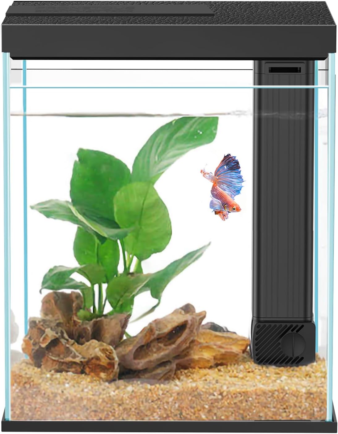 Betta Fish Tank, 2 Gallon Glass Aquarium Starter Kit, Small Fish Tank with Filter and Light.(Black)