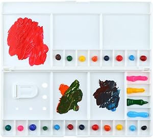 Transon Large Paint Palette Box 29 Color Mixing Wells with 1 Liner Brush