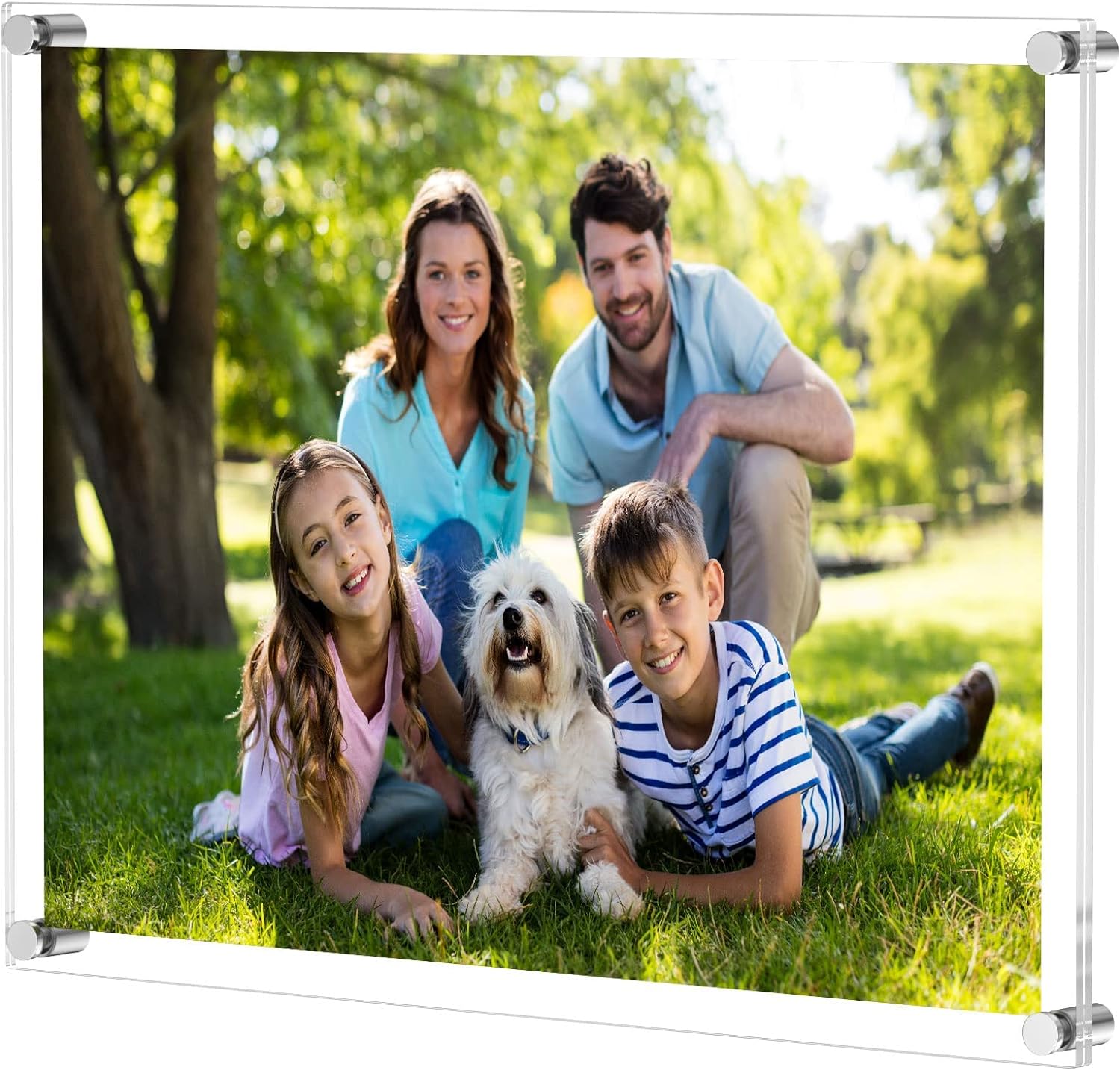 NIUBEE Clear Acrylic Wall Mount Floating Frameless Picture Frame Up to 18x24 Photo for Poster Photography Frames-Double Panel(Full Frame is 20.5x26.5 inch)