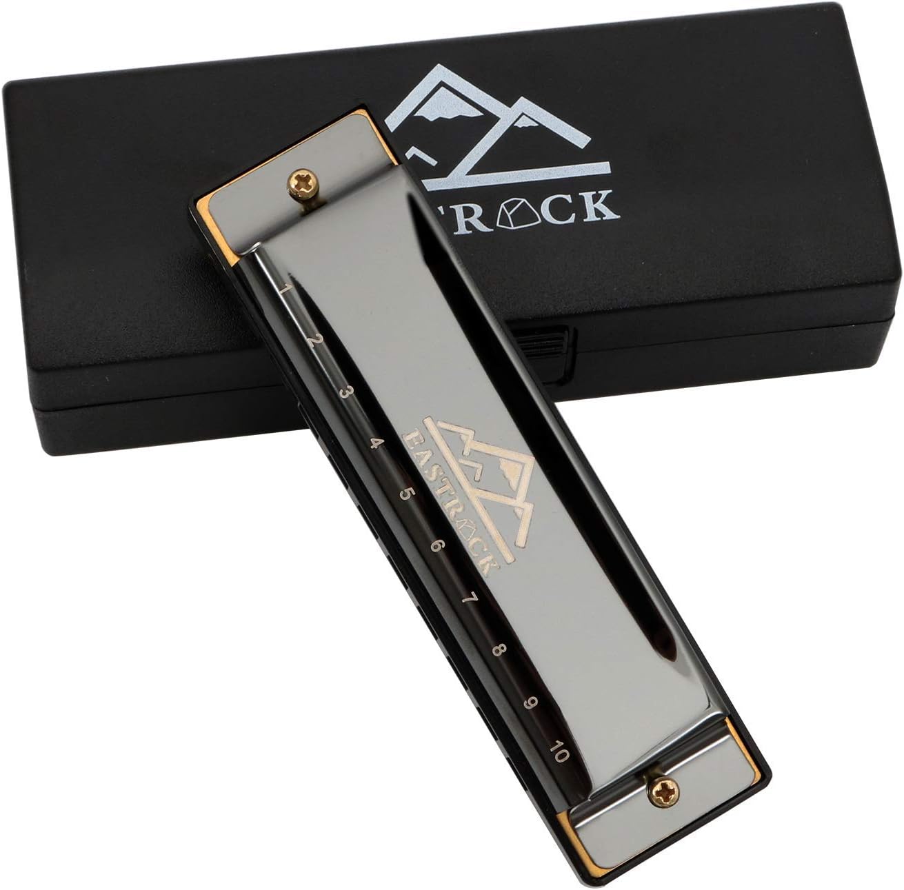 EastRock Blues Harmonica Mouth Organ 10 Hole C Key with Case, Diatonic Harmonica for Professional Player, Beginner, Students gifts, Adult, Friends, Gift Black