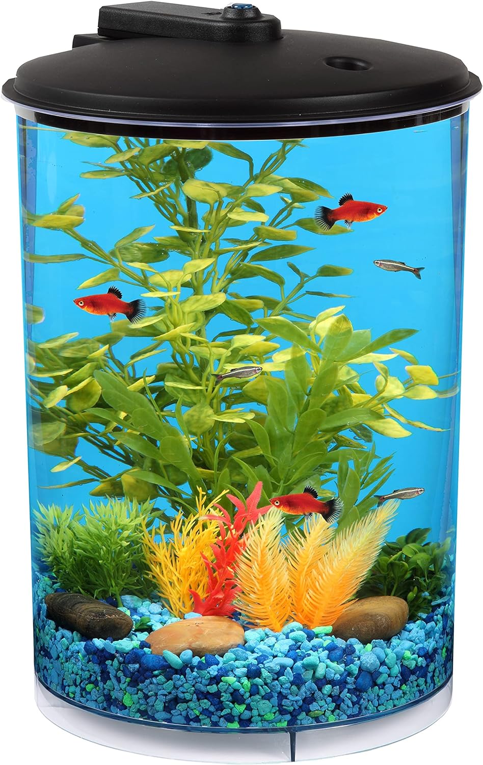 Koller Products 3-Gallon 360 Aquarium with LED Lighting (7 Color Choices) and Power Filter, Ideal for a Variety of Tropical Fish,Crystal-Clear Clarity,AP360A-3FFP