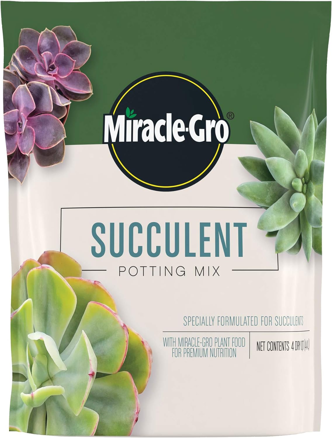 Miracle-Gro Succulent Potting Mix: Fertilized Soil with Premium Nutrition for Indoor Cactus Plants, Aloe Vera and More, 4 qt.