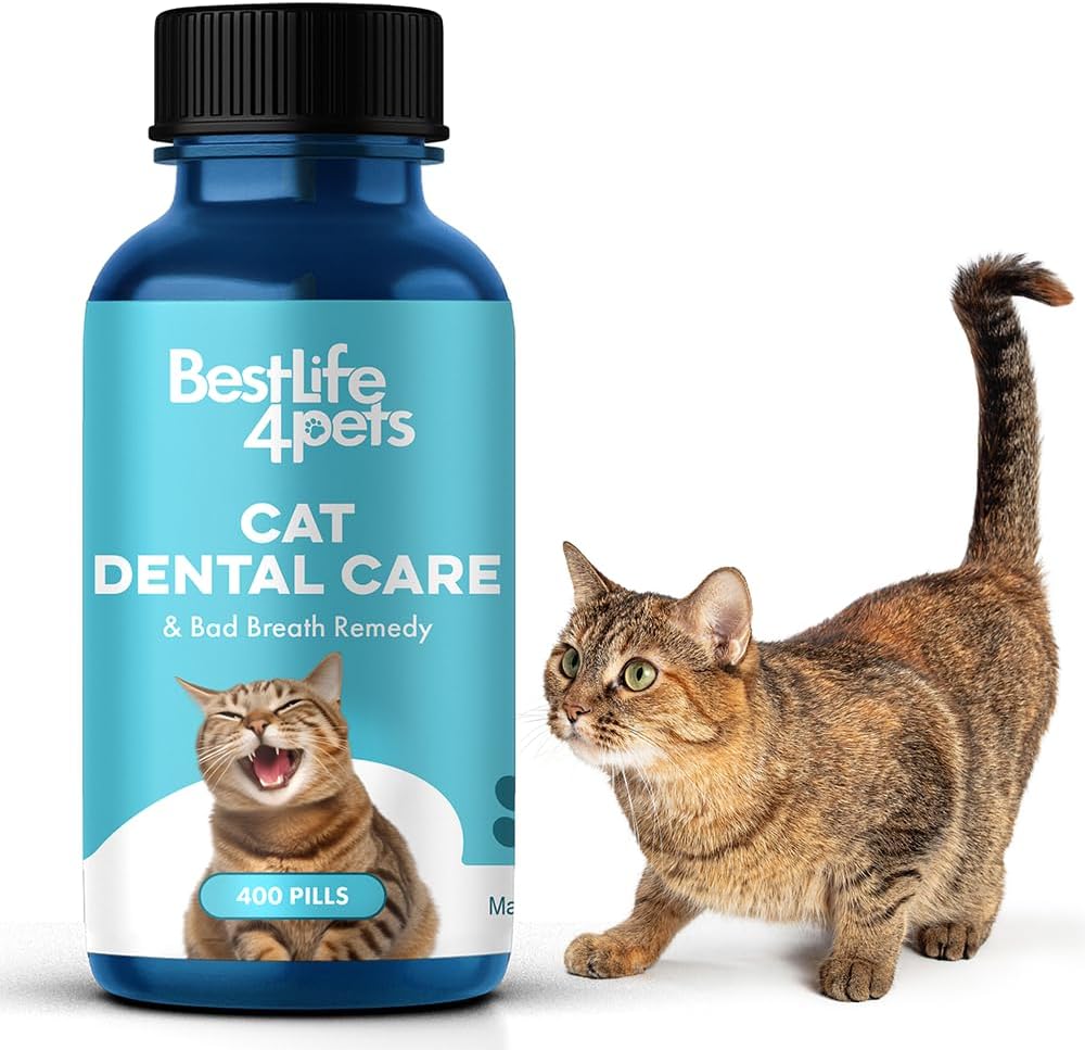 BestLife4Pets Cat Dental Care & Bad Breath Remedy - Natural Oral Health for Cats Gums, Gingivitis and Tooth Pain, Daily Pet Breath Freshener, Tartar and Plaque Remover Treat, Easy To Use Cat Oral Care