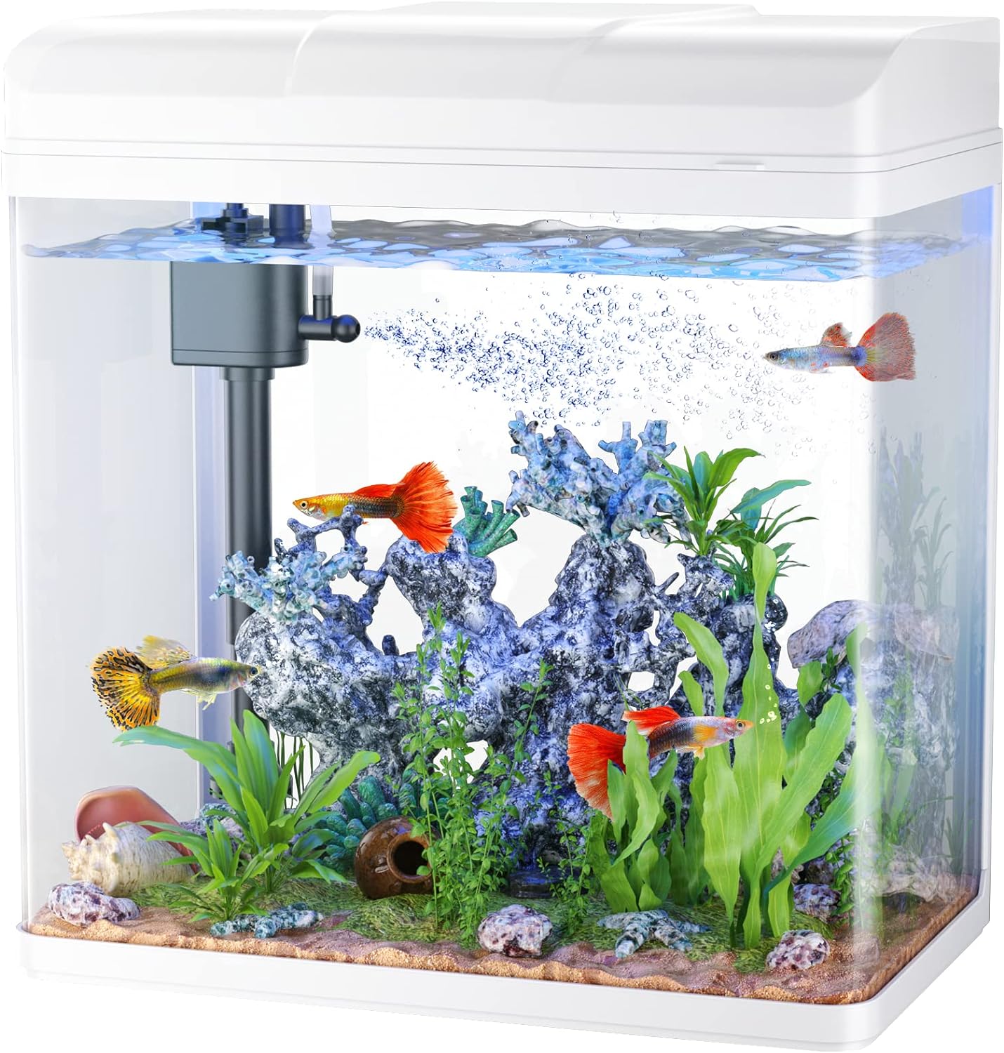 Fish Tank, 3 Gallon Glass Aquarium with Air Pump, LED Cool Lights and Filter, Small Fish Tank for Betta Fish Starter Kit (White)