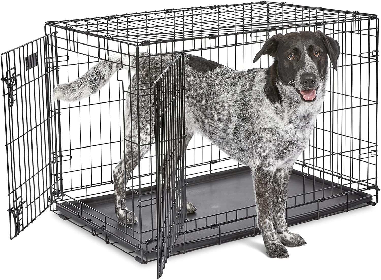 MidWest Homes for Pets Newly Enhanced Double Door iCrate Dog Crate, Includes Leak-Proof Pan, Floor Protecting Feet, Divider Panel & New Patented Features