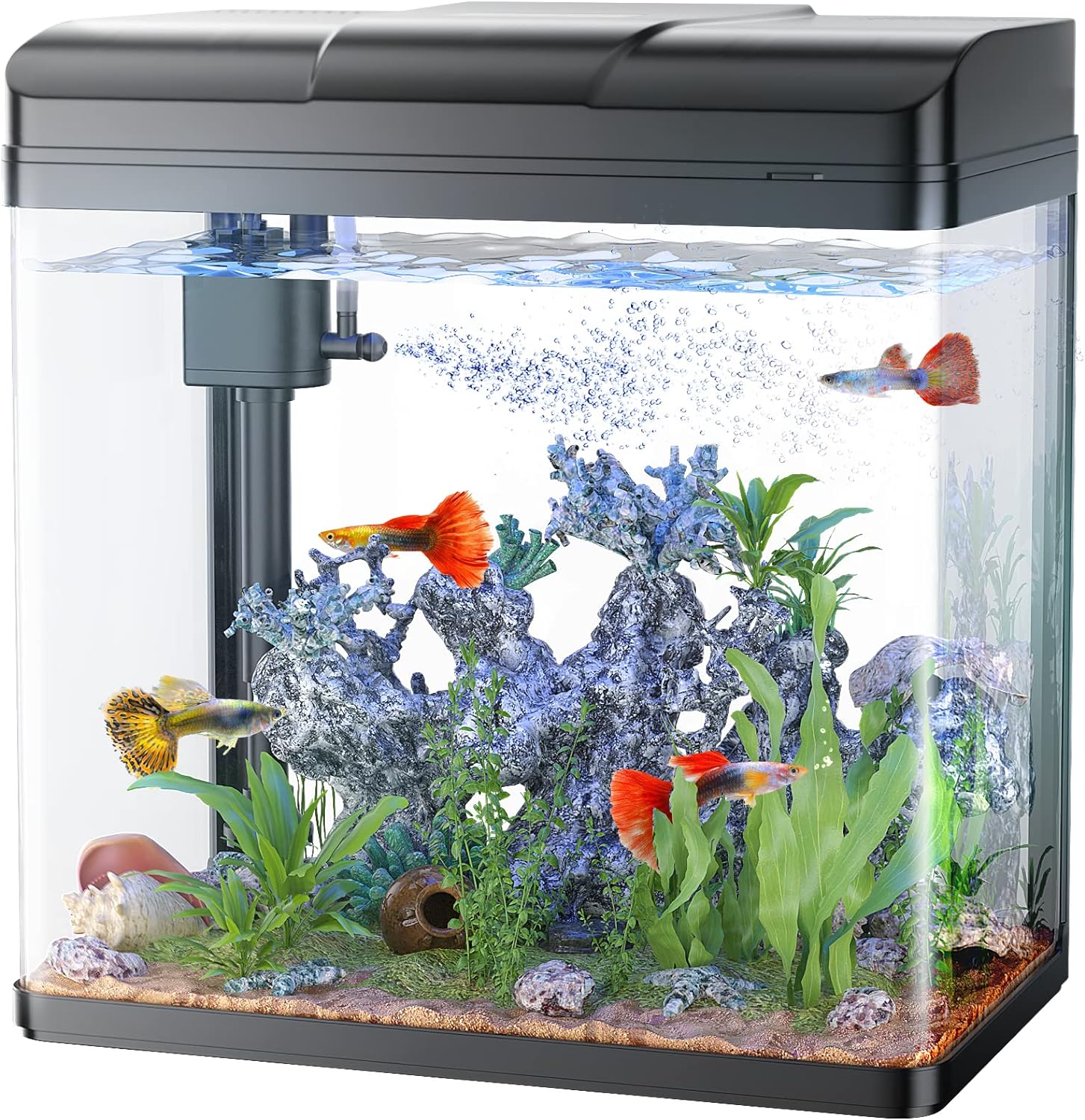 Fish Tank, 3 Gallon Glass Aquarium with Air Pump, LED Cool Lights and Filter, Small Fish Tank for Betta Fish Starter Kit (Black)