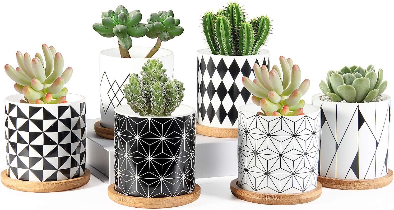 ZOUTOG Succulent Pots, 3 inch Ceramic Mini Succulent Planter Pot, Geometric Pattern Round Small Flower Pots with Drainage and Bamboo Tray, Pack of 6 - Plants Not Included