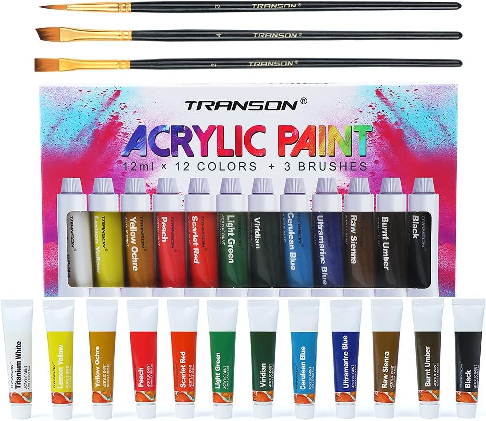 TRANSON Acrylic Paint Set 12-Color with 3 Paint Brushes for Craft Canvas Rock Art Painting