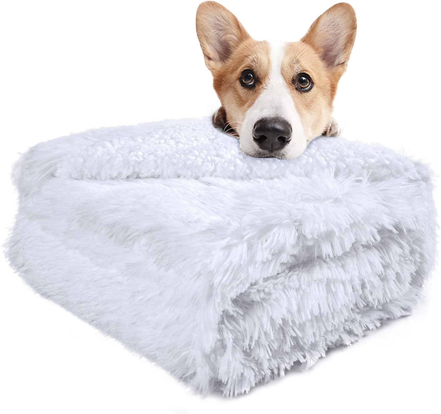 LOCHAS Luxury Fluffy Dog Blanket, Extra Soft and Warm Sherpa Fleece Pet Blankets for Dogs Cats, Plush Furry Faux Fur Puppy Throw Cover, 20''x30'' White