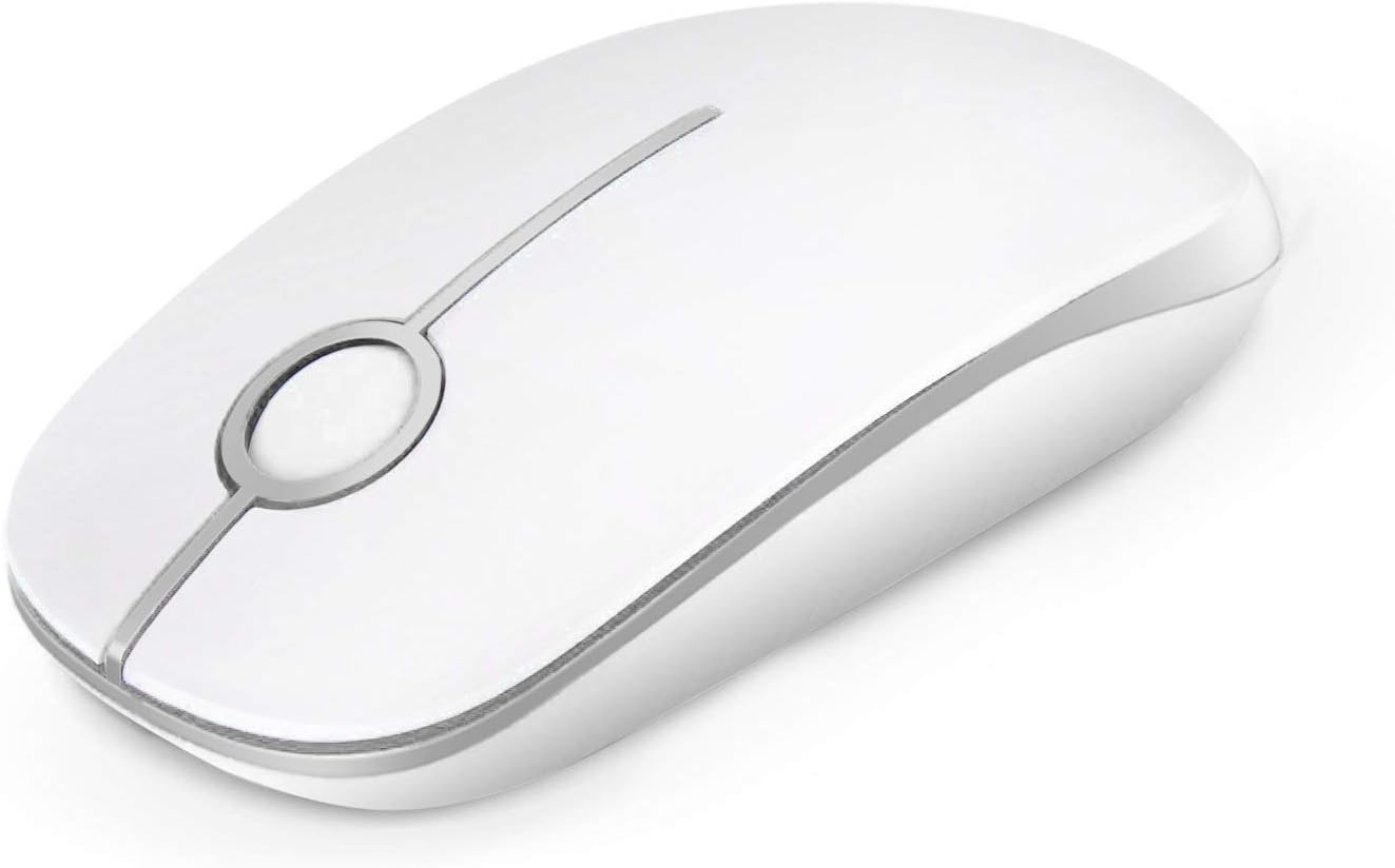 VssoPlor Wireless Mouse, 2.4G Slim Portable Computer Mice with Nano Receiver for Notebook, PC, Laptop, Computer (White and Silver)