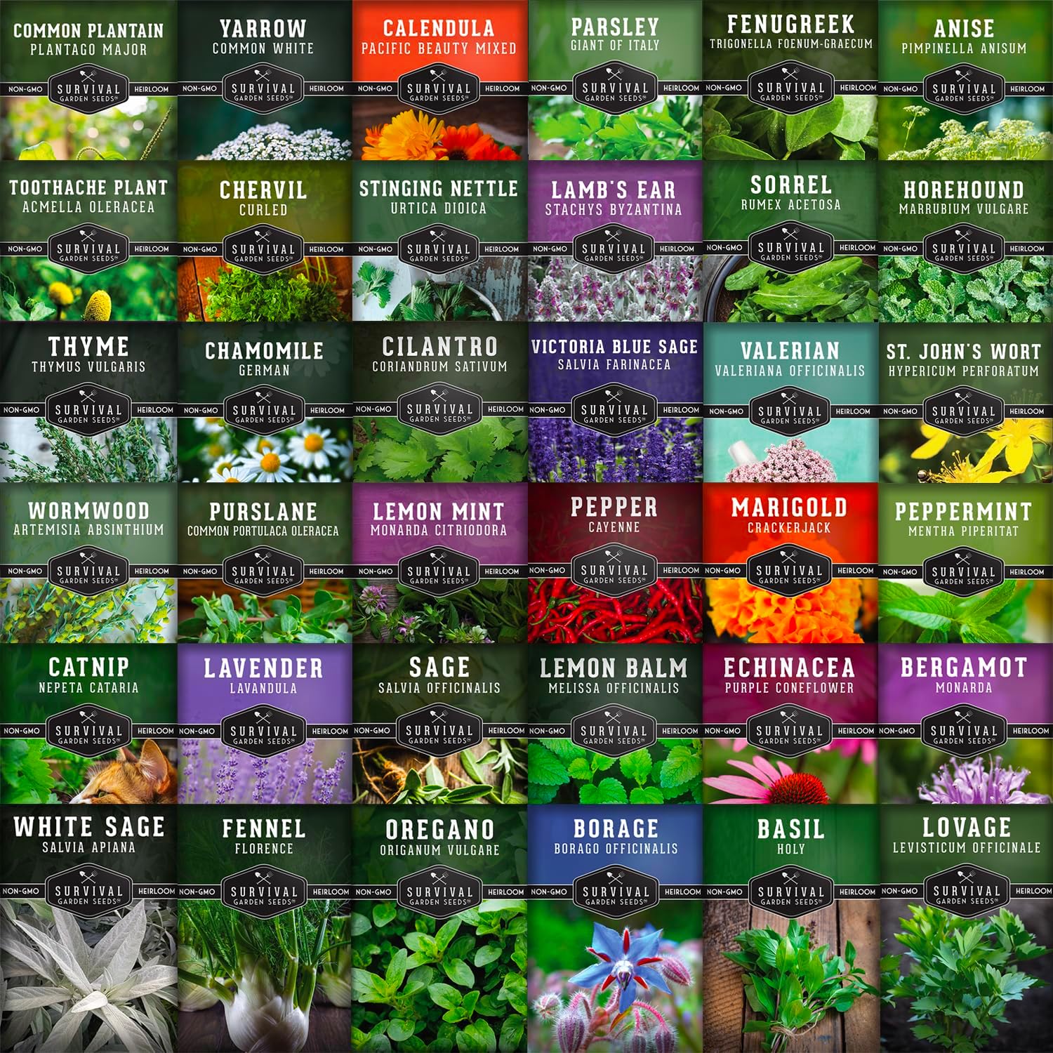 Ultimate Medicinal Herbs Collection - 36 Variety Pack of Herb Seeds for Growing Essential Healing Plants - Mixed Assortment for Homesteaders - Non-GMO Heirloom Varieties - Survival Garden Seeds