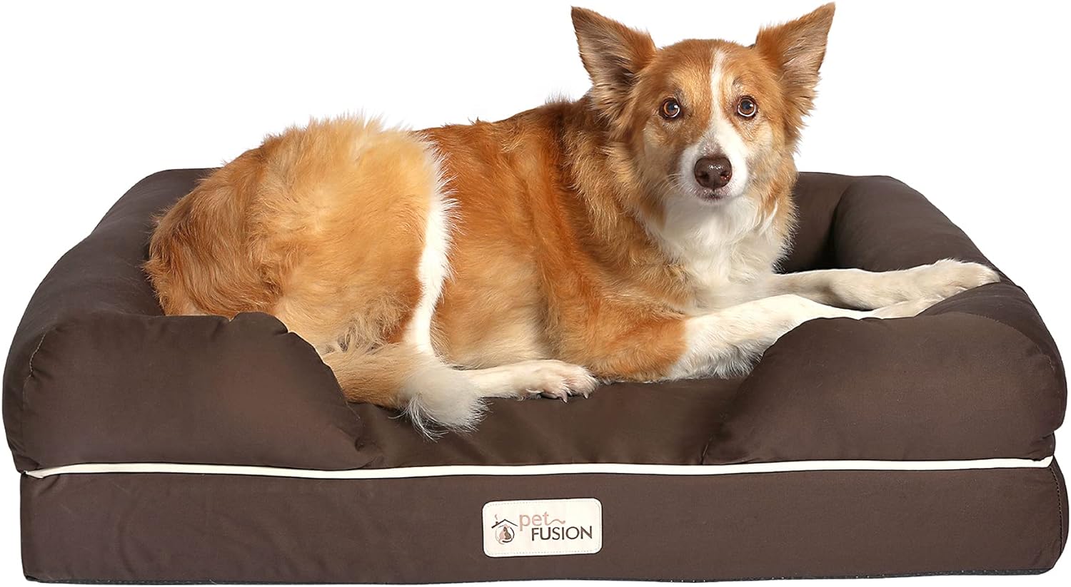 PetFusion Ultimate Dog Bed, Orthopedic Memory Foam, Multiple Sizes and Colors, Medium Firmness Pillow, Waterproof Liner, YKK Zippers, Breathable 35% Cotton Cover