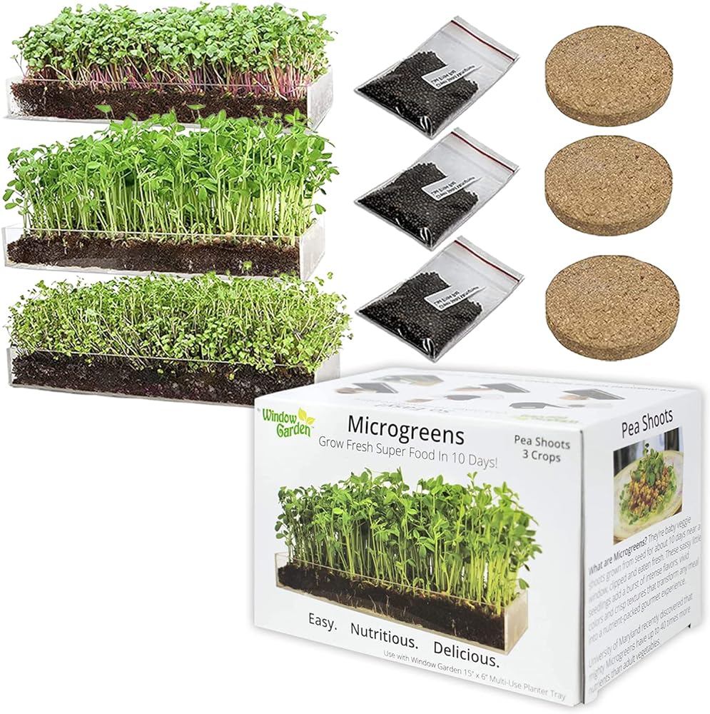 Window Garden Microgreen Organic Wheatgrass 3 Pack Refill Use with Grow n Serve Kit, Multi-Use 15 x 6 Planter Tray, Pre-Measured Soil + Seed. Easy and Convenient, Sprout 3 Crops of Superfood.