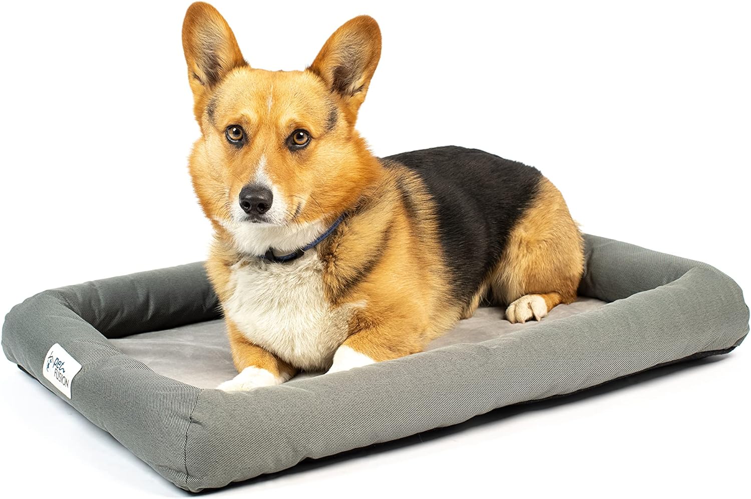 PetFusion Lavender-Infused Dog Bed w/Cooling | Solid Certi-PUR-US Orthopedic Memory Foam | Anti-Anxiety Crate Mat Calming & Soothing | All-Season Temperature Control Cooling Mat | 1 Year Warr.