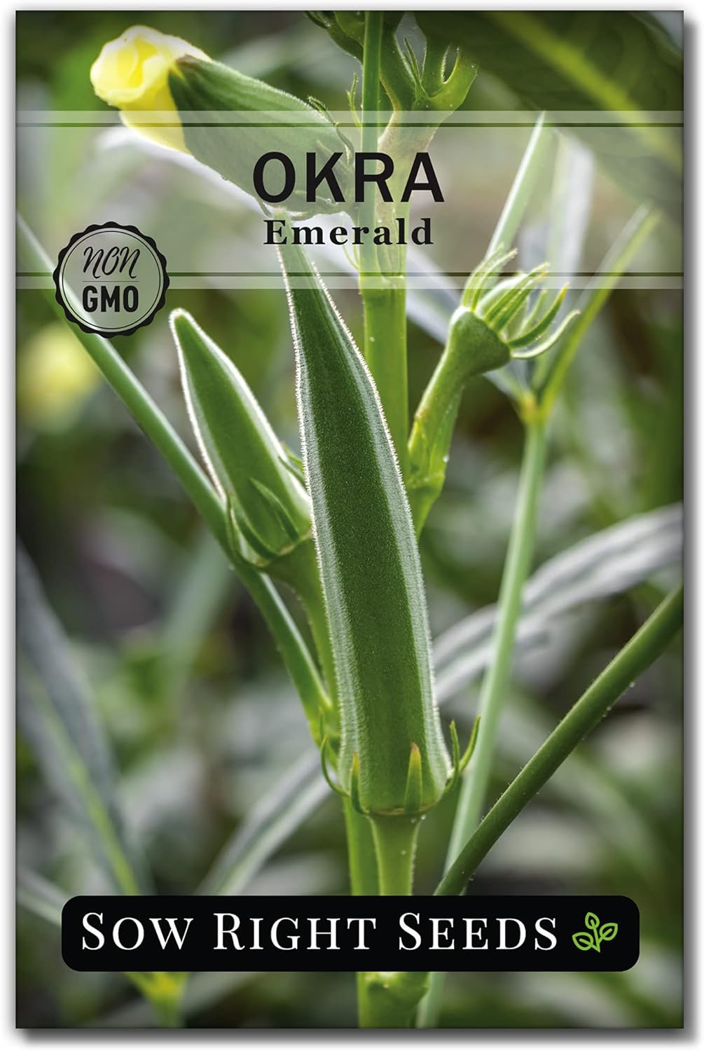 Sow Right Seeds - Emerald Okra Seeds for Planting - Non-GMO Heirloom Packet with Instructions to Plant a Home Vegetable Garden - Classic Green Pods on Tall Stalks - Make Fried Okra (1)