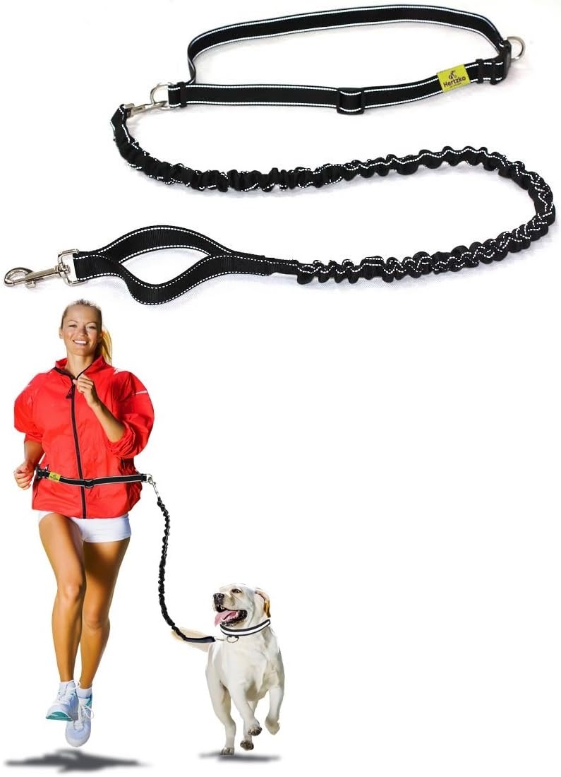 Hands Free Dog Leash by Hertzko  Great Running Leash for m=Medium to Large Dogs - Strong, Durable and Weather Resistant Nylon Bungee Leash (36 inches Bungee)