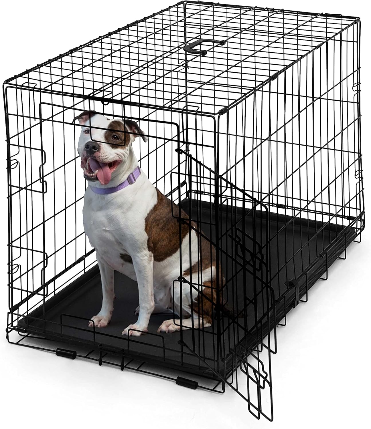 CAPHAUS Foldable Dog Crate Wire Metal Dog Kennel w/Leak-Proof Pan & Protecting Feet & Divider Panel, Single or Double Door, Small, Medium & Large Dog Crate Indoor Cage, 30 w/Single Door