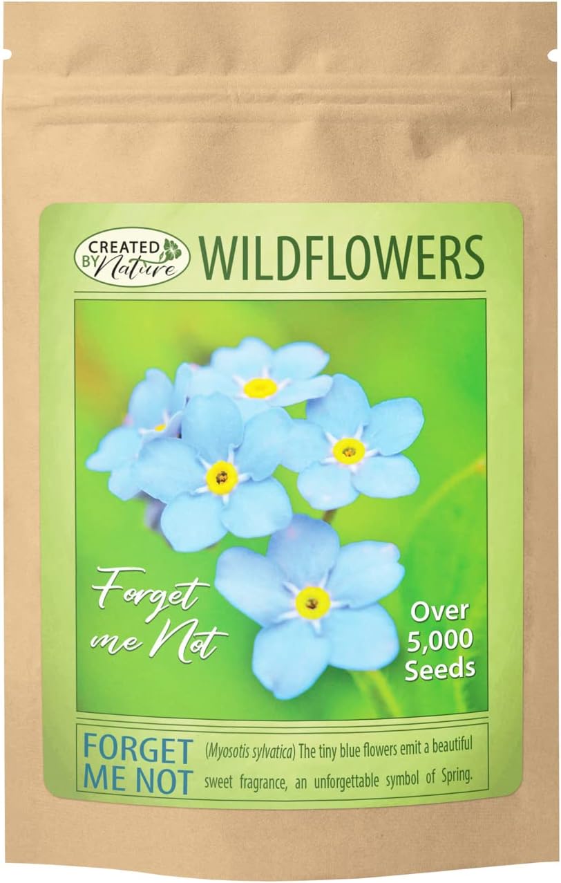 Forget Me Not Flowers (Myosotis sylvatica) - Over 5,000 Premium Seeds