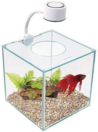 Marina CUBUS Glass Betta Kit  Elegant Glass Aquarium for Homes or Offices