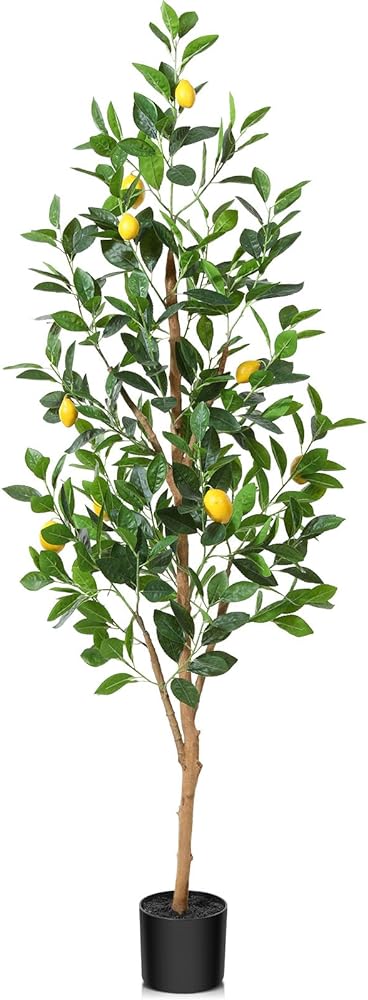 I love this lemon tree.  I was searching for an indoor tree and when I saw it I thought it was a very unique choice.  I chose the 4 footer for my breakfast nook.  It literally took about 1 minute to set up.  I purchased an inexpensive ceramic pot to place it in.  It's perfect!