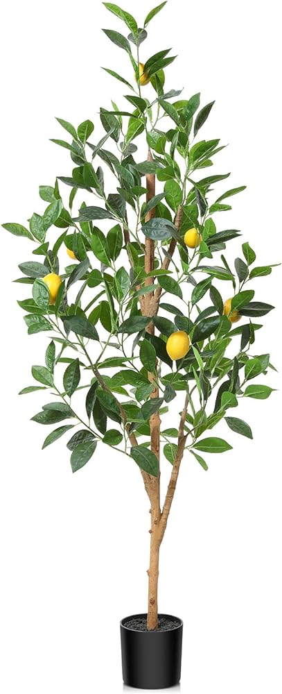 I love this lemon tree.  I was searching for an indoor tree and when I saw it I thought it was a very unique choice.  I chose the 4 footer for my breakfast nook.  It literally took about 1 minute to set up.  I purchased an inexpensive ceramic pot to place it in.  It's perfect!