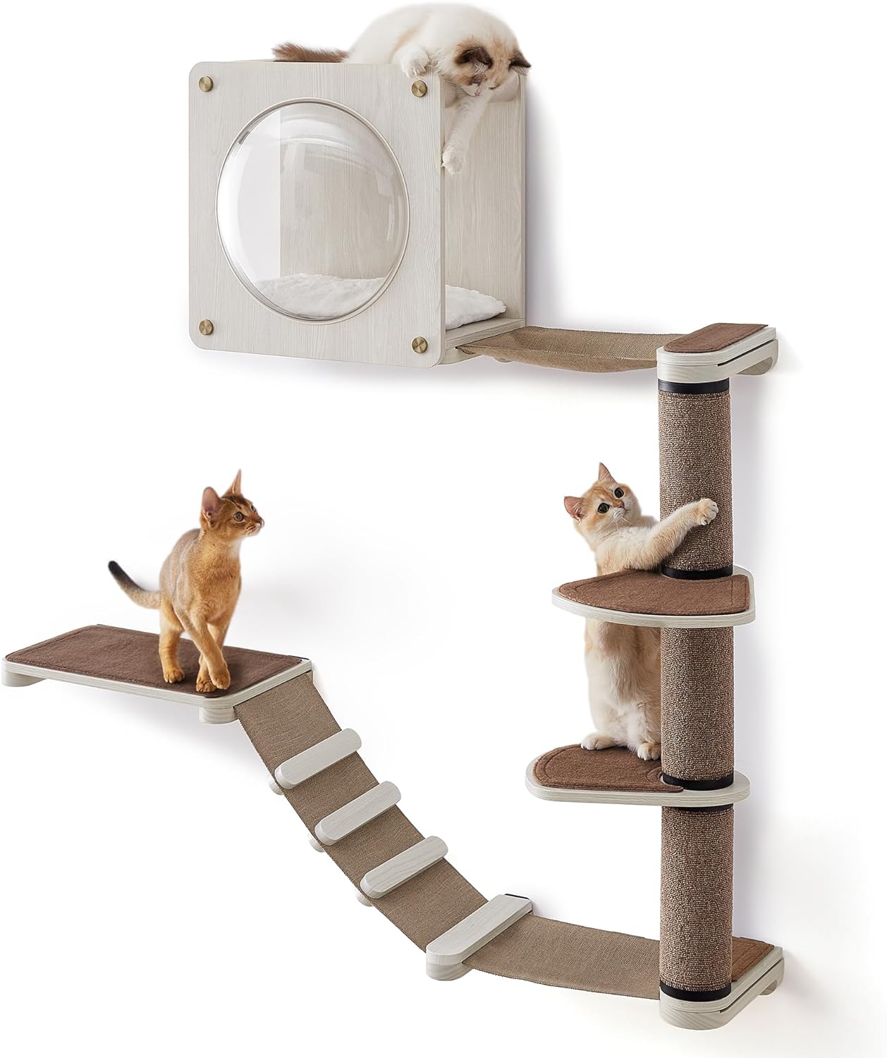 Feandrea Clickat Oasis - Cat Wall Furniture, Set of 5, Cat Wall Shelf, Wall-Mounted Cat Hammock, Scratching Post, Cave, Extremely Quick Assembly, Unlimited Expandability, Replaceable Module and Parts