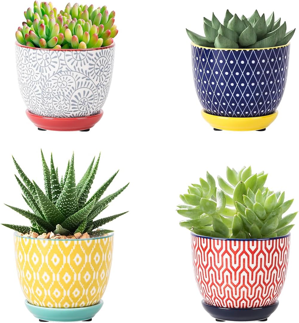 Selamica Ceramic Succulent Pots with Drainage Holes, Small Flower Pots 3.5 Inch Plant Pots for Indoor Plants with Saucers, Cactus Succulent, Home Decor, Set of 4, Assorted Colors