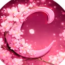 My Image